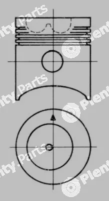 Wilmink Group WG1022291 — Piston