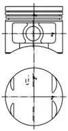 Wilmink Group WG1016263 — Piston