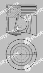 Wilmink Group WG1946681 — Piston