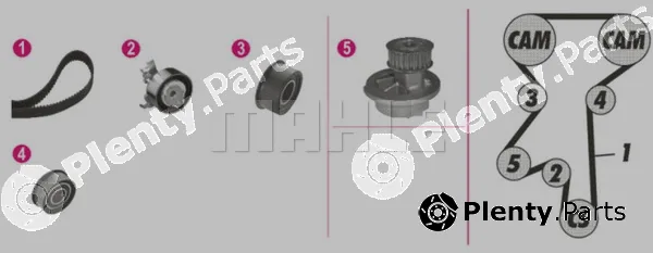 Wilmink Group WG2182161 — Water Pump & Timing Belt Kit