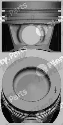 Wilmink Group WG1443731 — Piston