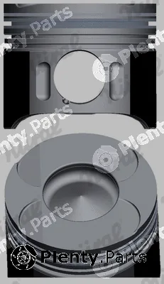 Wilmink Group WG1175809 — Piston