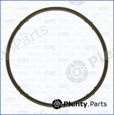 Wilmink Group WG1751345 — Gasket, water pump