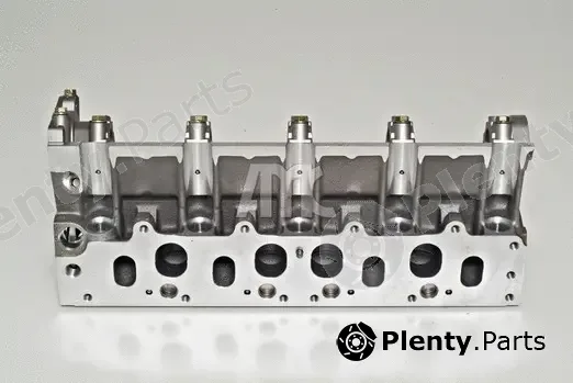 Wilmink Group WG1011015 — Cylinder Head