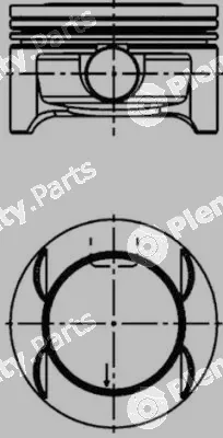 Wilmink Group WG1016582 — Piston
