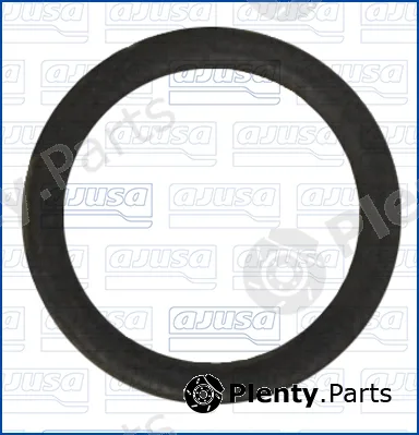 Wilmink Group WG2077816 — Seal Ring, coolant pipe