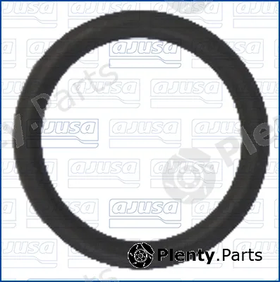 Wilmink Group WG2187670 — Seal Ring, coolant pipe