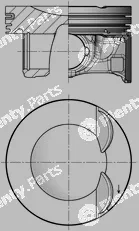 Wilmink Group WG1924748 — Piston