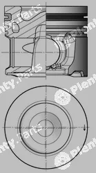 Wilmink Group WG1967117 — Piston