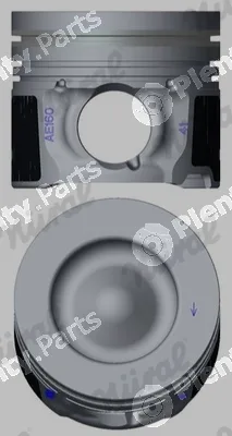 Wilmink Group WG2294364 — Piston