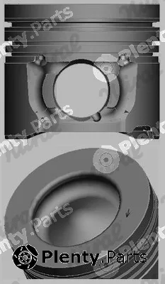 Wilmink Group WG1175833 — Piston
