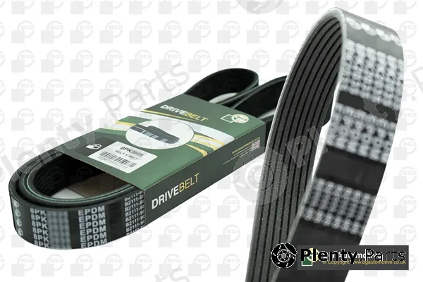 Wilmink Group WG1991082 — V-Ribbed Belt