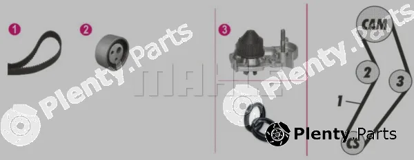 Wilmink Group WG2182193 — Water Pump & Timing Belt Kit