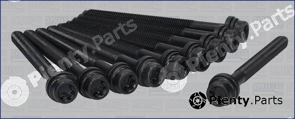 Wilmink Group WG1009621 — Cylinder Head Bolt Set