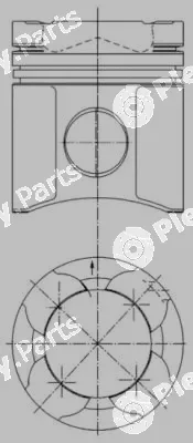 Wilmink Group WG1023395 — Piston