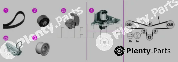 Wilmink Group WG2182135 — Water Pump & Timing Belt Kit
