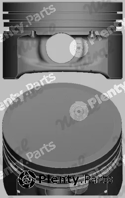 Wilmink Group WG1443761 — Piston