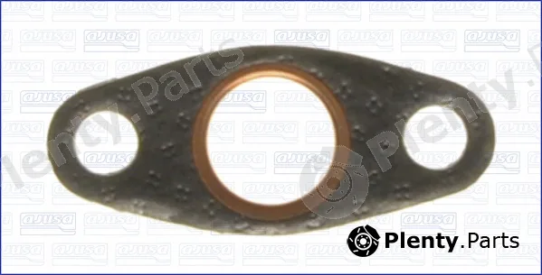 Wilmink Group WG2075536 — Gasket, vacuum pump