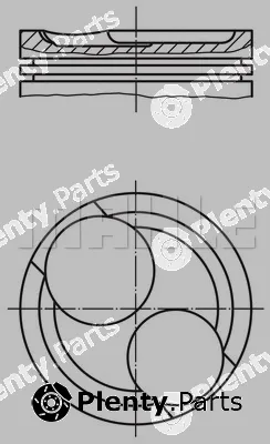 Wilmink Group WG1104209 — Piston