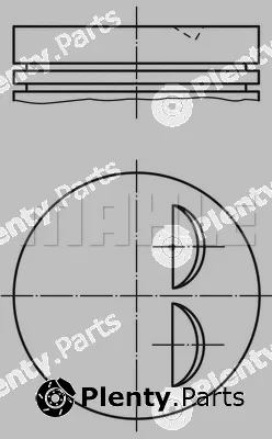 Wilmink Group WG1214272 — Piston