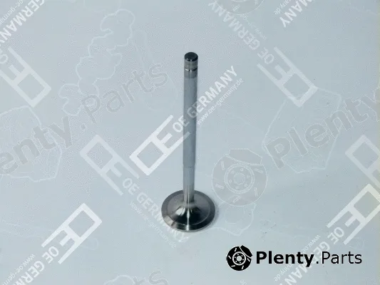 Wilmink Group WG1485689 — Intake Valve