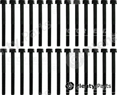 Wilmink Group WG1379463 — Cylinder Head Bolt Set
