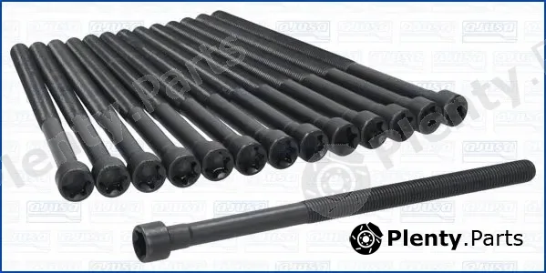 Wilmink Group WG2188216 — Cylinder Head Bolt Set