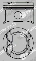 Wilmink Group WG2046426 — Piston