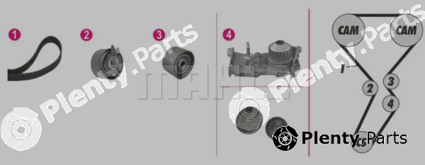 Wilmink Group WG2182147 — Water Pump & Timing Belt Kit