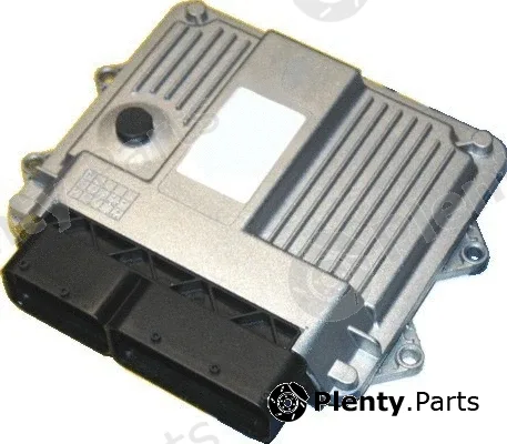 Wilmink Group WG1014616 — Control Unit, engine management
