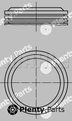 Wilmink Group WG1212784 — Piston