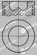 Wilmink Group WG1175487 — Piston