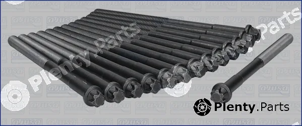 Wilmink Group WG1009576 — Cylinder Head Bolt Set