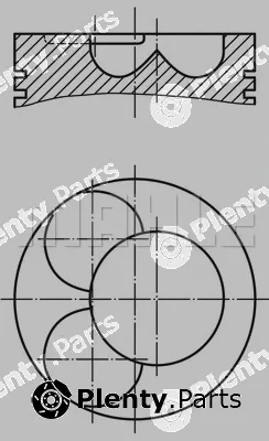 Wilmink Group WG1213944 — Piston
