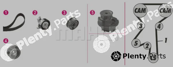 Wilmink Group WG2182178 — Water Pump & Timing Belt Kit