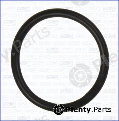 Wilmink Group WG2081712 — Seal Ring, coolant pipe