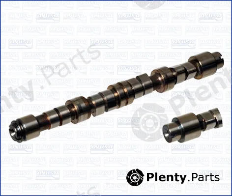 Wilmink Group WG1171263 — Camshaft