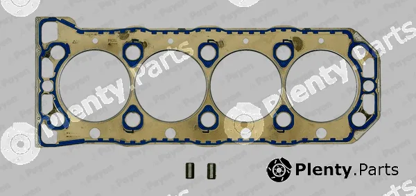 Wilmink Group WG1090246 — Gasket, cylinder head