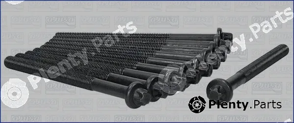 Wilmink Group WG1170609 — Cylinder Head Bolt Set