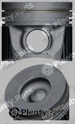 Wilmink Group WG2171388 — Piston