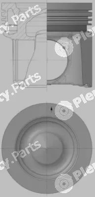 Wilmink Group WG1726227 — Piston