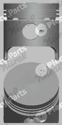 Wilmink Group WG1176196 — Piston