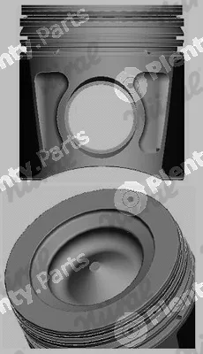 Wilmink Group WG1939095 — Piston