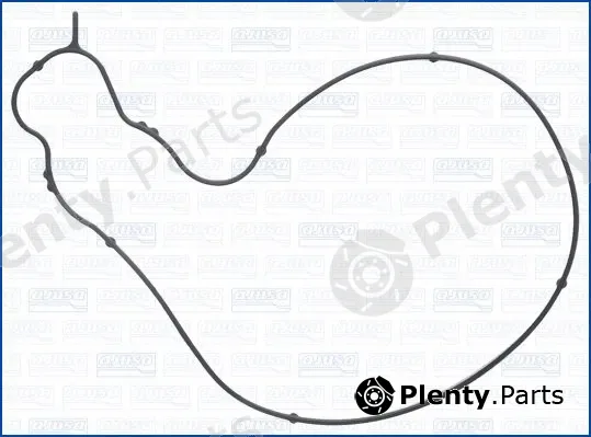 Wilmink Group WG2079967 — Gasket, water pump