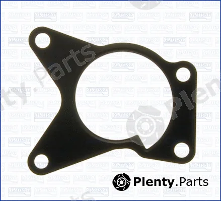 Wilmink Group WG1751397 — Gasket, water pump