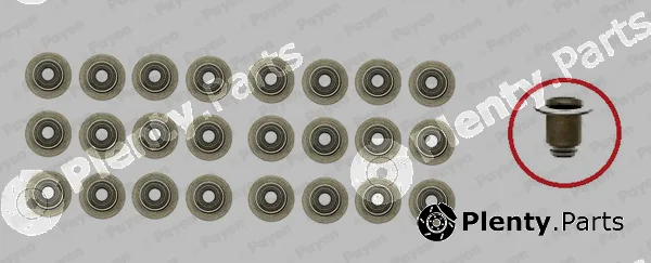 Wilmink Group WG1181301 — Seal Set, valve stem