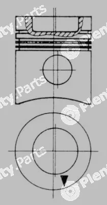 Wilmink Group WG1022819 — Piston