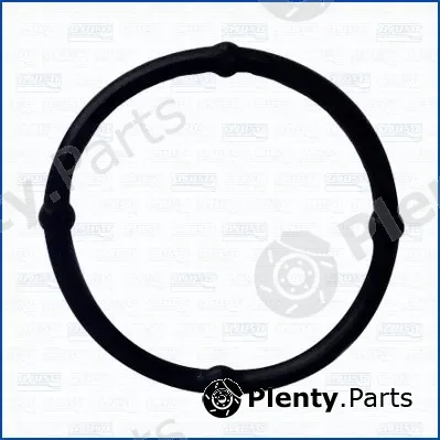 Wilmink Group WG2078572 — Gasket, oil pump