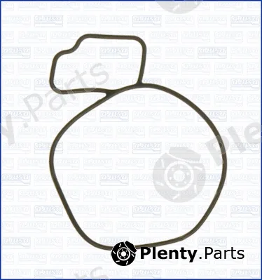 Wilmink Group WG1751284 — Gasket, water pump