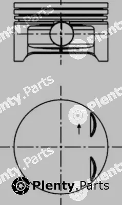 Wilmink Group WG1016576 — Piston